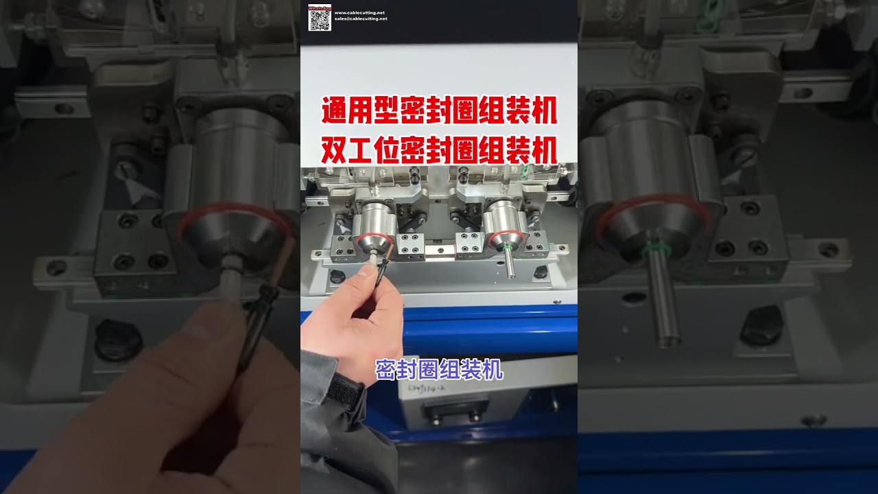 Automatic Seal Ring Assembly Machine for Rubber O Rings and Oil Seal Components