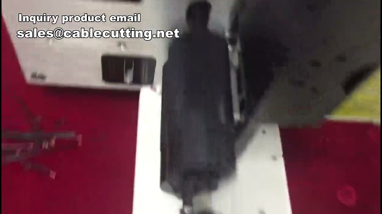 Automatic Computer Cutting Skinning Twisting Machine,Cable Wire Cut Peeling Twist Machine,Automatic