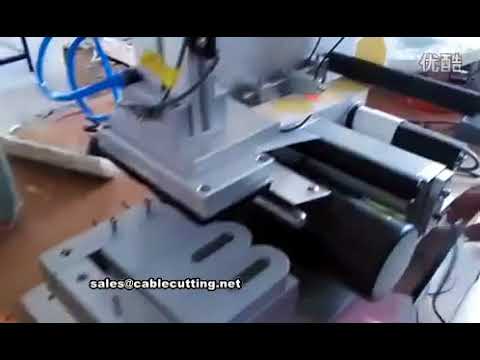 Flat Surface Labeling Machine for Automated Packaging