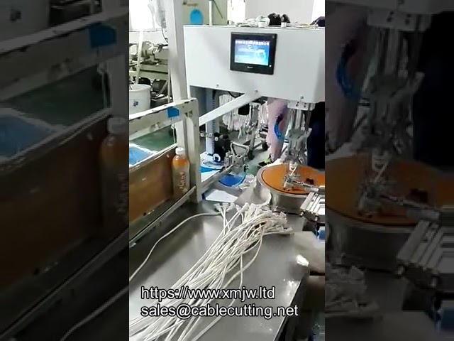 Automatic Wire Coiling Winding  Binding  Tie Machine Wire Cable Full Automatic Electric Motor Coil W