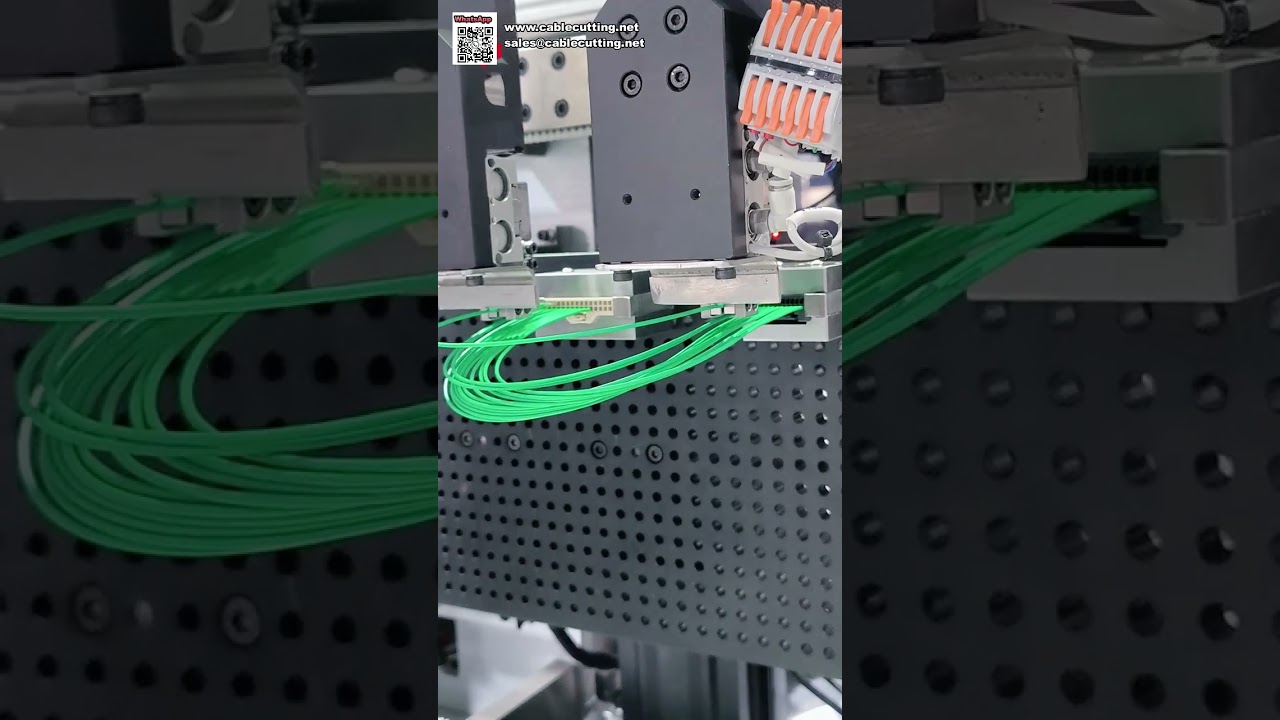 Automotive Wire Harness Smart Housing Insertion and Waterproof Plug Sealing Machine - Shorts