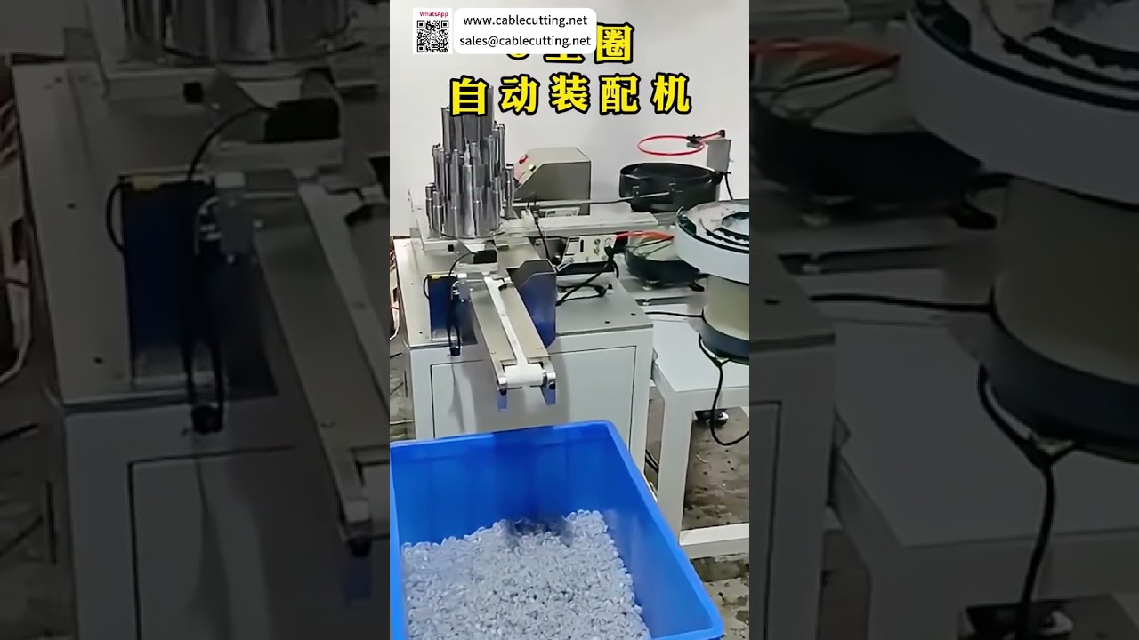 Professional Circlip Assembly Machine Factory Advanced Custom Precision Auto Machinery Line