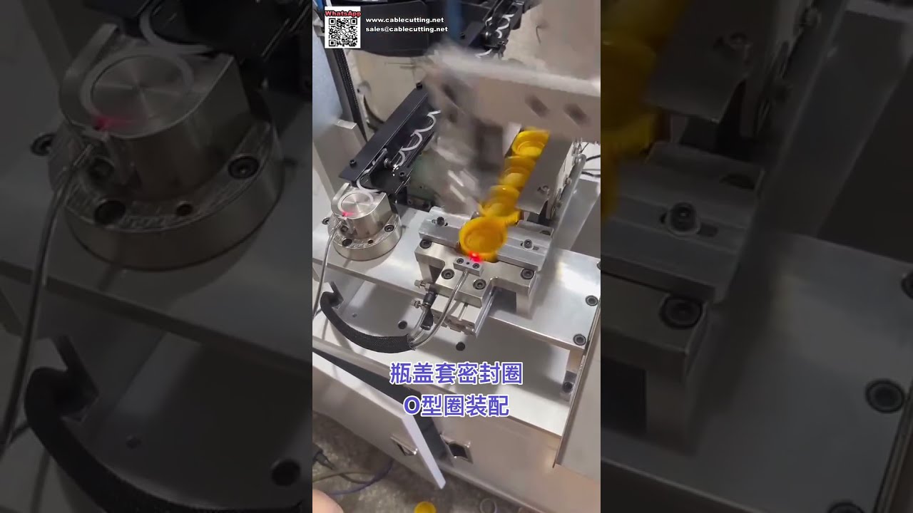Export Quality Automatic O Ring Assembly Machine for Silicone Sealing Components - Shorts