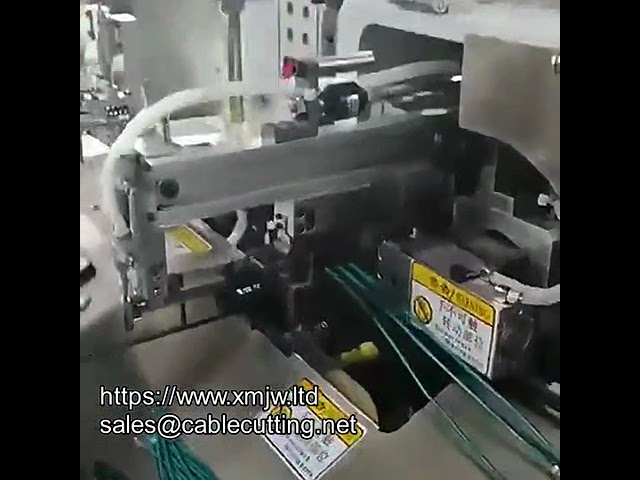 Double head Dip Tin Machine Fully Automatic 10 wire Cutting Line Stripping Twisting Double Head Dip